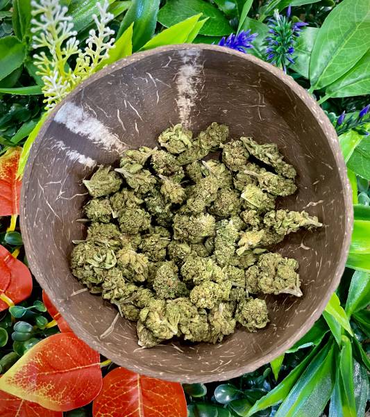 Torus Indoor QUalité Premium La Chanvriere CBD Marseille