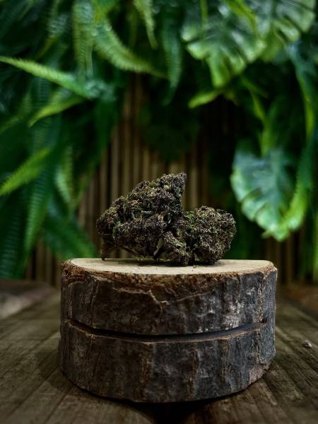 Super Fruit GreenHouse