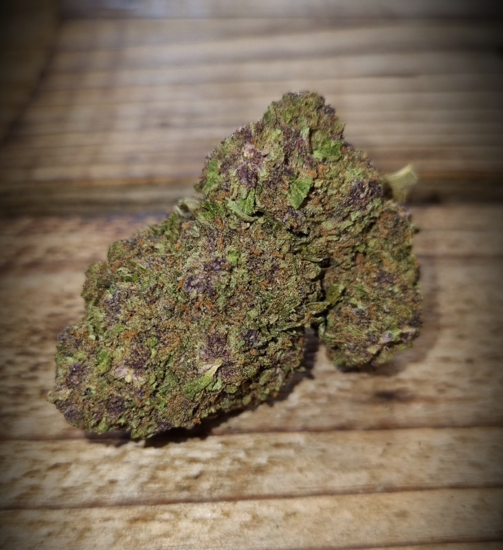 PURPLE HAZE indoor